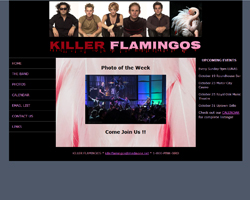 The Home page for the Killer Flamingos website was completely redesigned for a new and updated look for the music band. Site text was rewritten.  Images were sourced as well as provided by the client.
